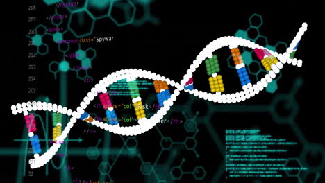 animación del procesamiento de datos sobre la cadena de adn sobre fondo negro