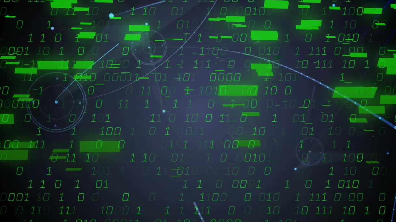 animación de la red de conexiones a través del procesamiento de datos