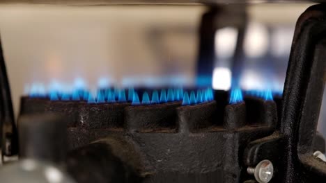 Industrial-Gas-cooker-with-blue-flames