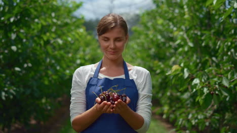 Agronom-Präsentiert-Geerntete-Kirsche-Im-Obstgarten.-Bäuerin-Hält-Beere-In-Den-Händen