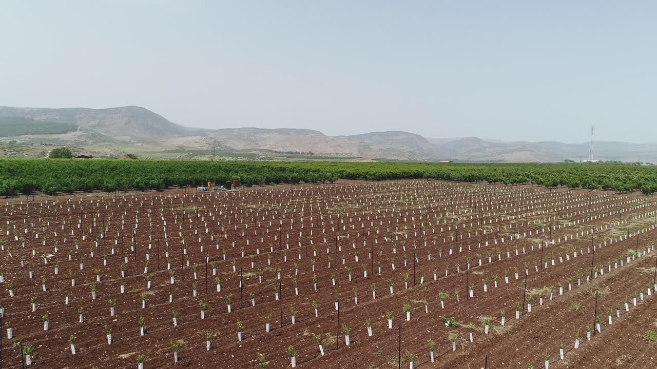 imágenes aéreas de grandes plantaciones de árboles frutales y campos agrícolas