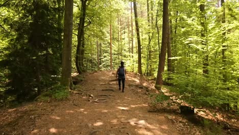 Junge-Frau-Zu-Fuß-Auf-Einem-Wanderweg-Am-Tisch-Des-Teufels-Im-Pfälzerwald,-Deutschland