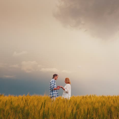 Two-Farmers-Stand-In-A-Field-Of-Wheat-Against-A-Stormy-Sky-2