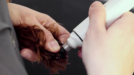 el aseo del perro con el molinillo de uñas