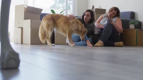 Caucasian-happy-lesbian-couple-drinking-tea-sitting-on-floor-stroking-dog-in-new-home