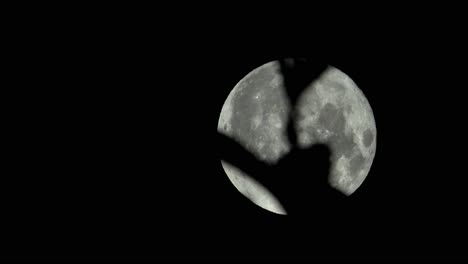 full moon in july moving across the sky with leaves in foreground