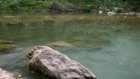 Dieses-Ruhige-Archivmaterial-Zeigt-Einen-Ruhigen-Kleinen-Fluss-Mit-Langsamer-Strömung,-Umgeben-Von-üppigem-Grün