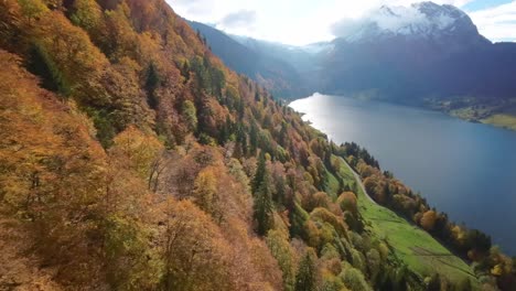 Vuelo-Aéreo-De-Drones-Sobre-El-Lago-De-Suiza