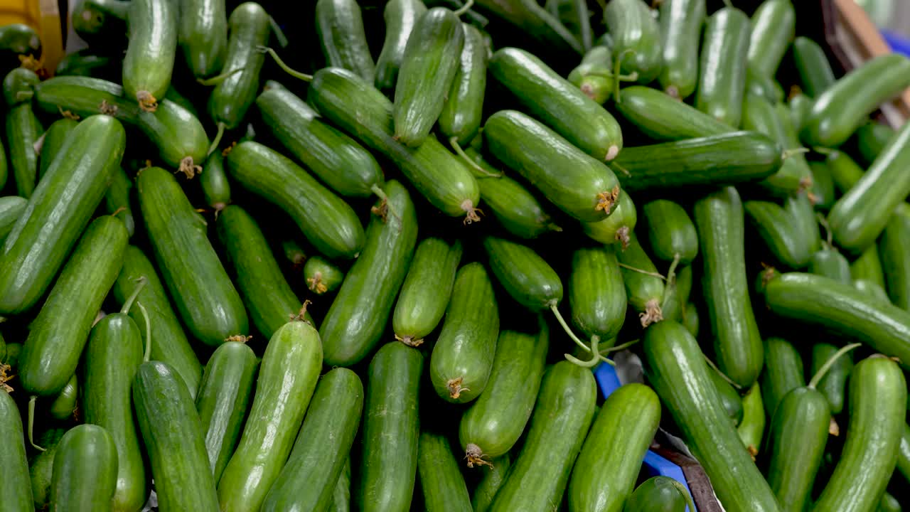 Vibrant green cucumbers are piled high at an outdoor market, showcasing their freshness and inviting shoppers to explore various local produce in a lively atmosphere