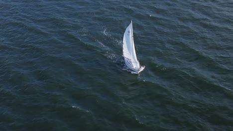 帆船在馬萨诸塞州海岸線的海水中航行