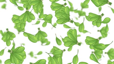 hojas de col verde que caen suavemente sobre un fondo blanco