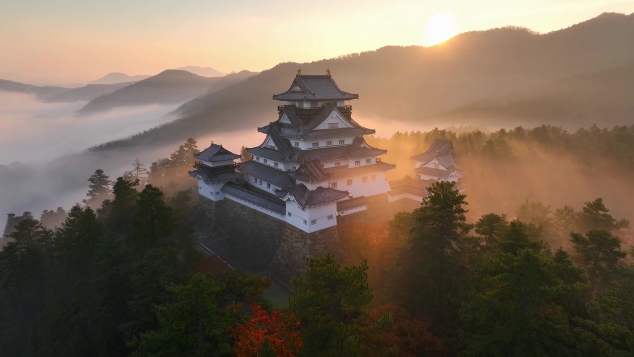 Majestætisk japansk slot i tåget skov under den gyldne time
