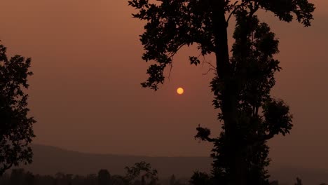 A warm sunset casts golden light behind the silhouettes of trees, creating a tranquil and scenic view of nature’s beauty at dusk in a quiet forest or countryside setting.