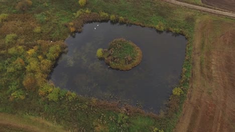 Estanque-De-Agua-Cuadrado-Con-Pequeña-Isla-Circular-1