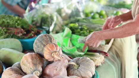 hands selecting vegetables at a vibrant market