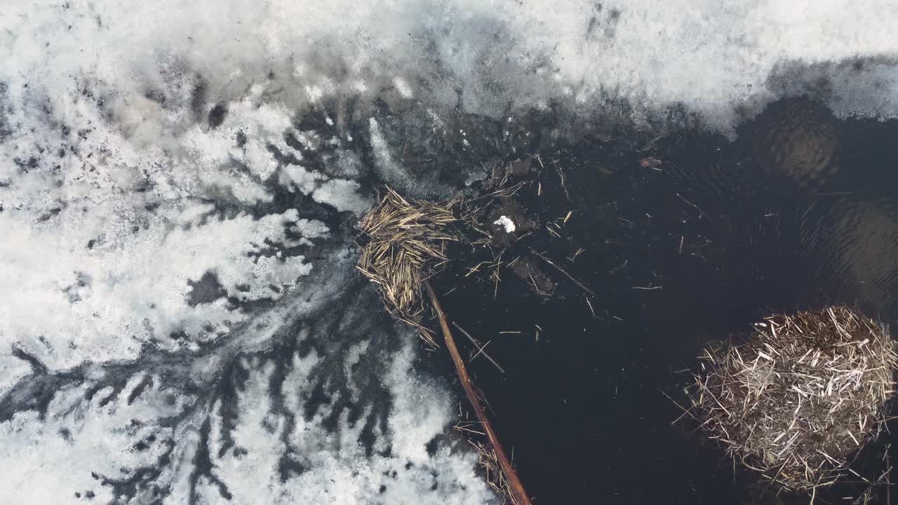 Beaver lodge nest home on frozen lake pond Canada, aerial drone above water