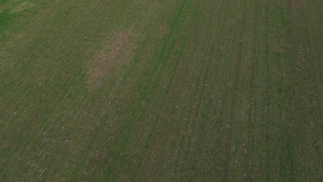 Vista-Aérea-De-La-Plantación-De-Cereales-Desde-Drone-Pov.