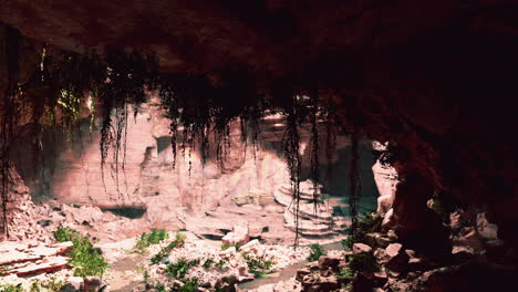 Blick-Aus-Dem-Inneren-Einer-Dunklen-Höhle-Mit-Grünen-Pflanzen-Und-Licht-Am-Ausgang