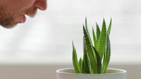 hombre hablando con una planta de interior junto a una ventana