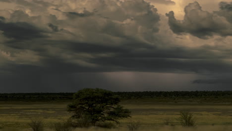 panorama of kgalagadi transfrontier park in southern africa on a stormy weather