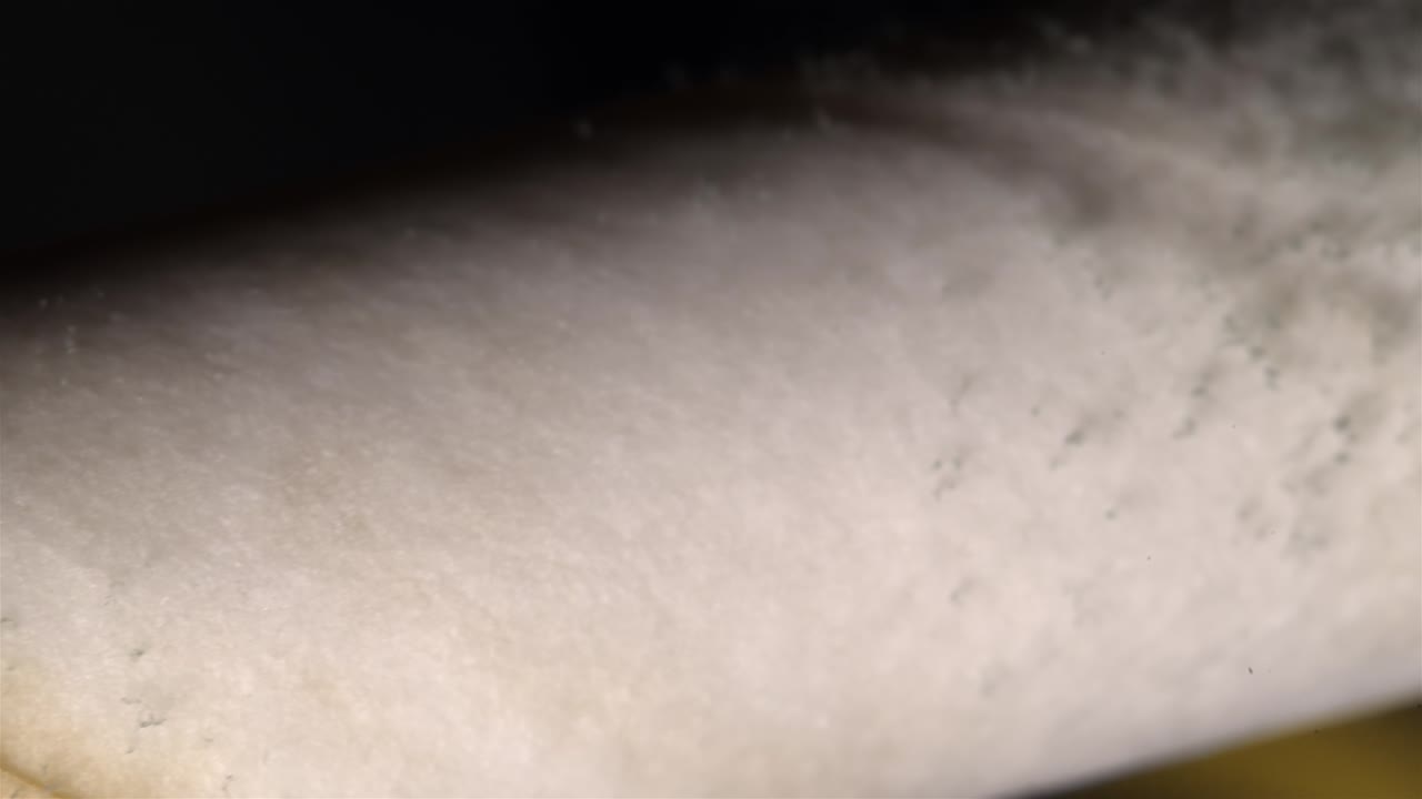 A detailed macro shot of mold growing along a paper straw, revealing the fungal spread in micro.