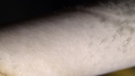 a detailed macro shot of mold growing along a paper straw, revealing the fungal spread in micro.