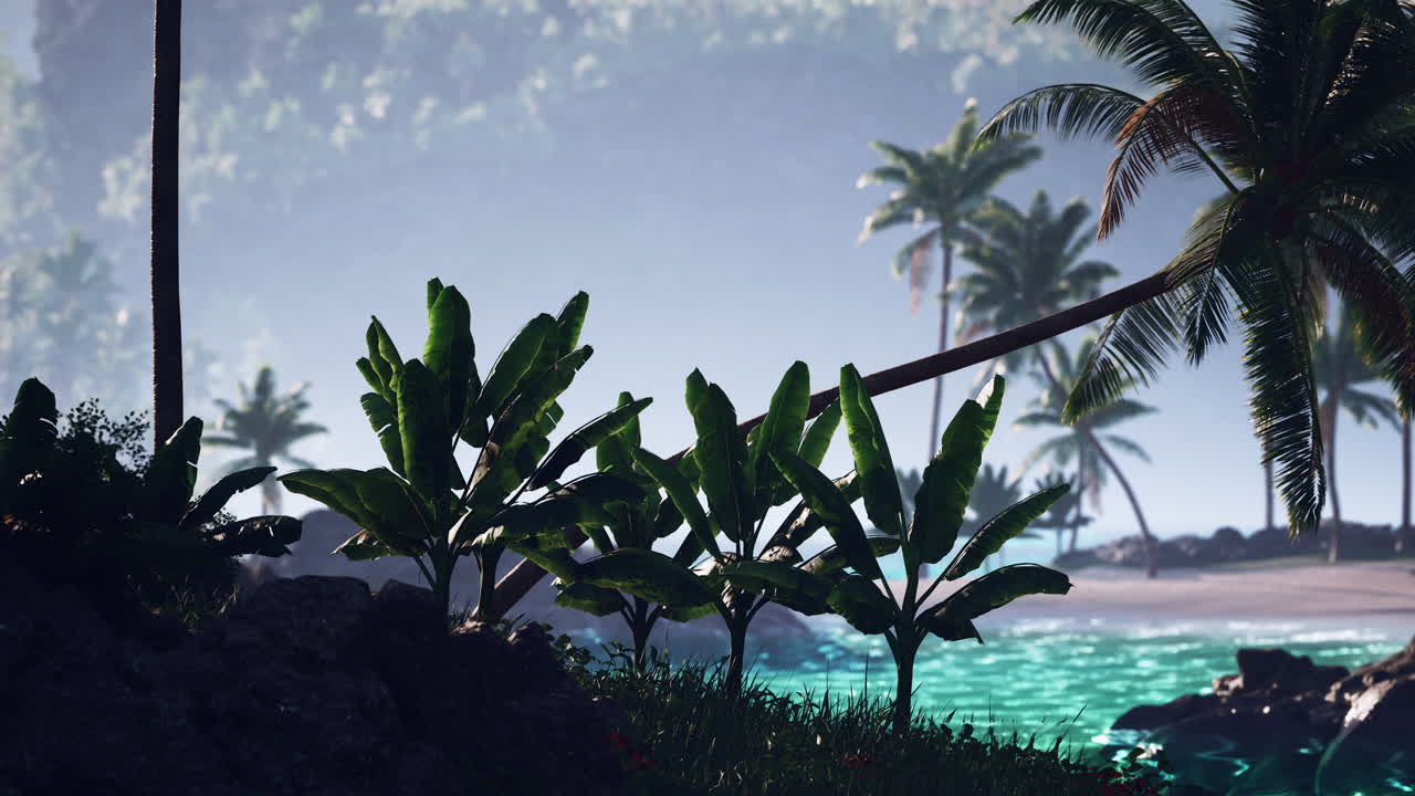 exuberantes plantas tropicales junto a aguas serenas de color turquesa a lo largo de la costa al amanecer