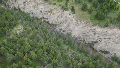 forest river next to cliff drone footage 4k