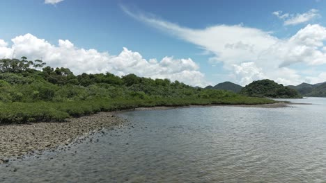 unesco global geopark in sai kung, hong kong, with mangrove forest, aerial view