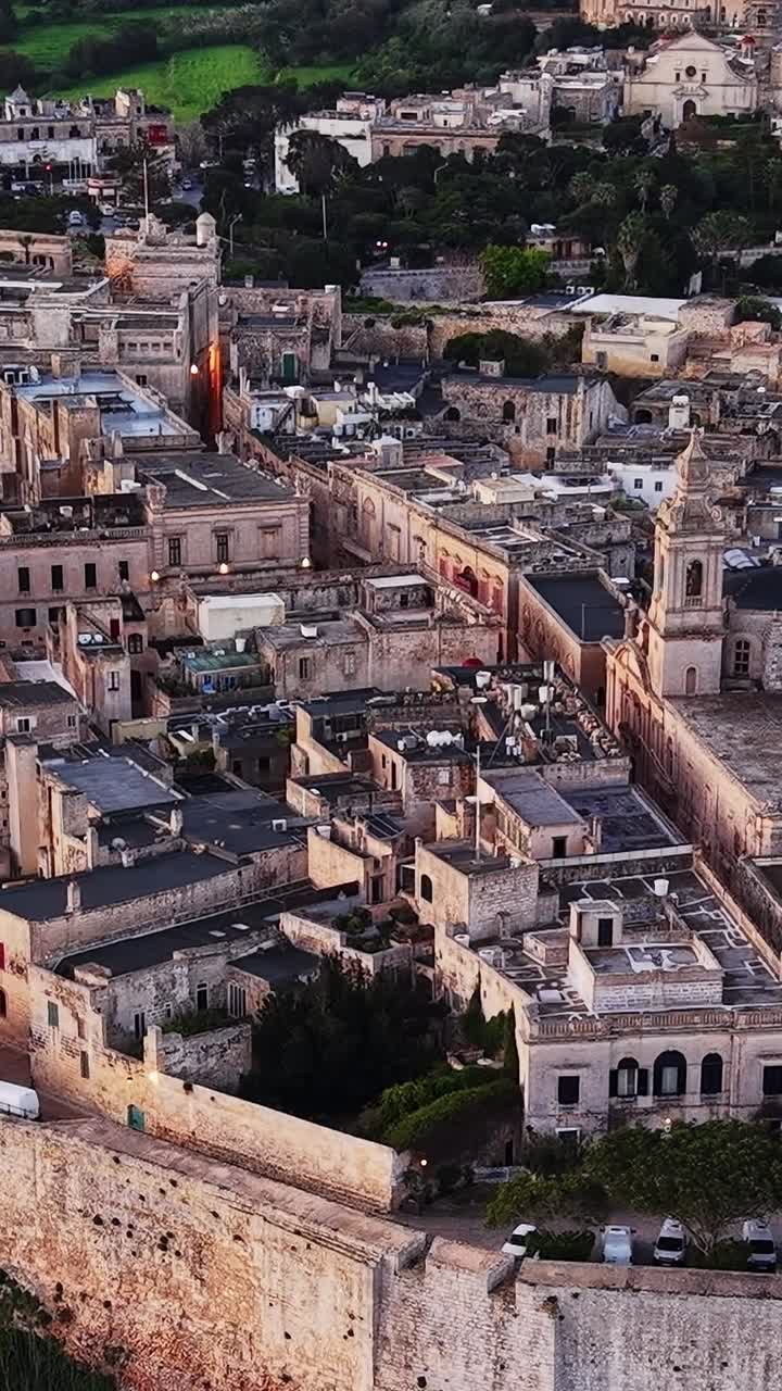 Vista della storica Mdina a Malta con edifici antichi e campi verdi