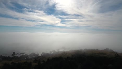 Antena:-Levántese-Y-Sobre-Una-Línea-De-árboles-Para-Revelar-La-Costa-Brumosa-De-Oregon