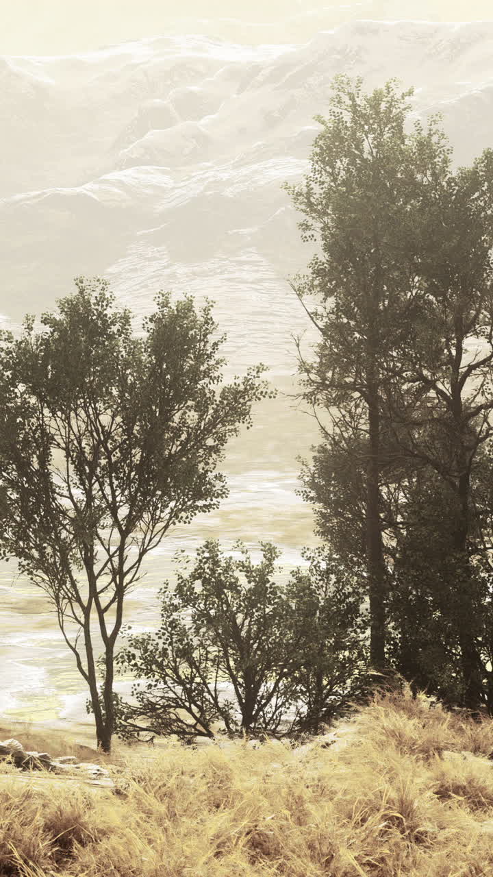 산과 안개가 있는 평화로운 풍경