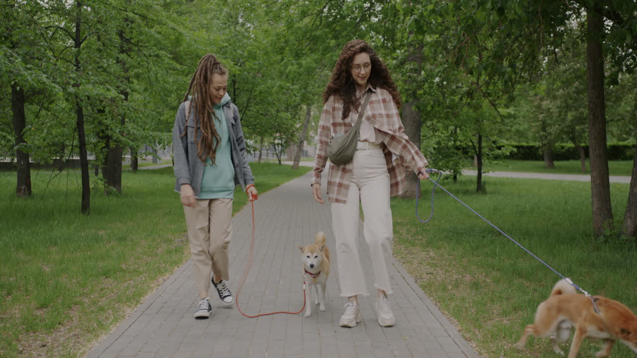Two women and their dogs walking in a park