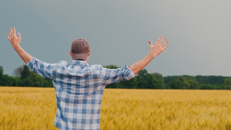 farmer raises his hands stands in a field of wheat view from behind