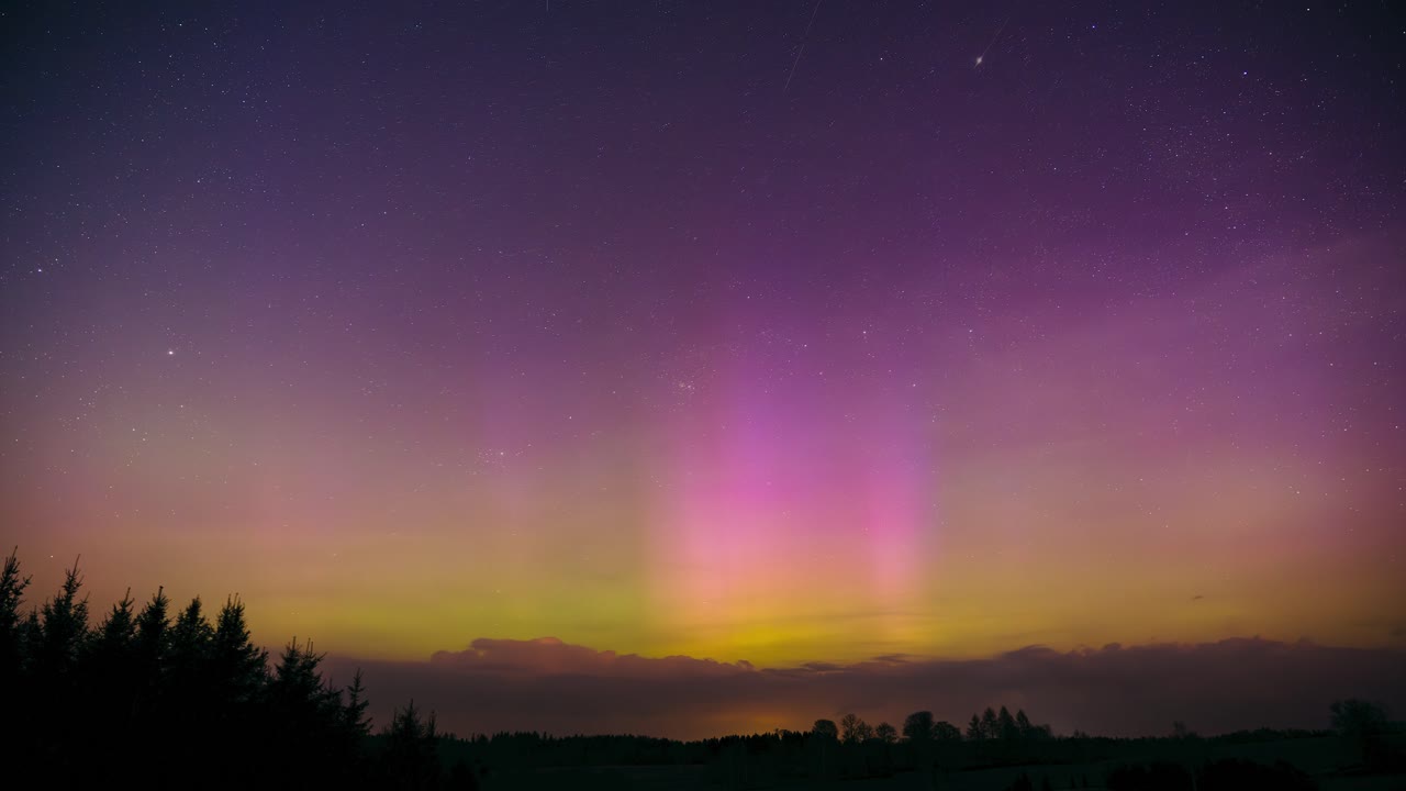 Night sky timelapse of glittering stars and violet aurora borealis with tree silhouettes in the background. Magical nature phenomenon in the sky.