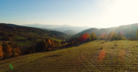 Fliegen-über-Das-Schöne-Waldbäume-Landschaftspanorama-75