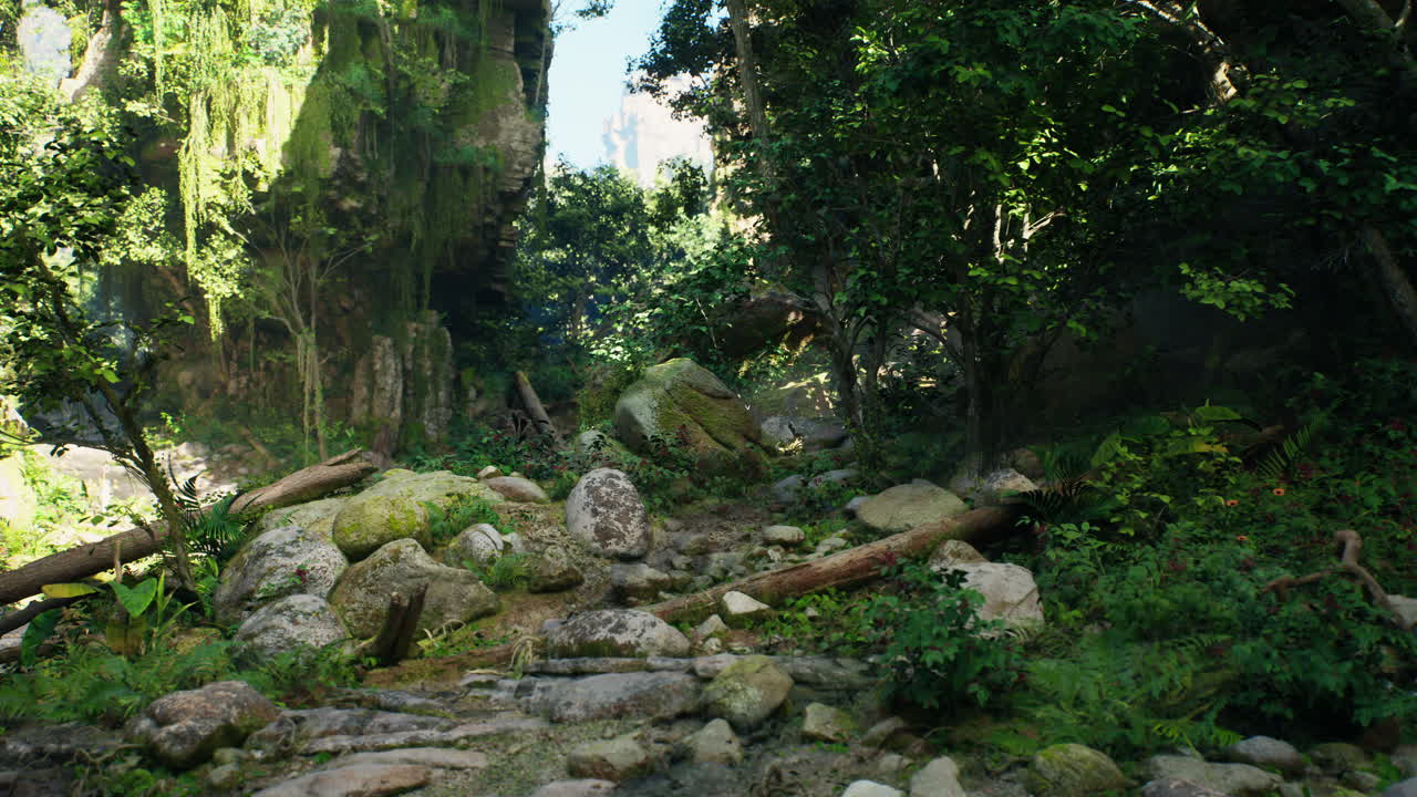 울창한 정글 길