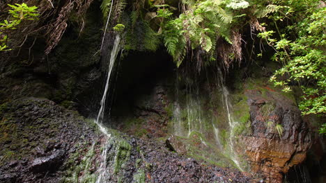 25 fuentes madeira cascada da risco cascada exótica selva tropical