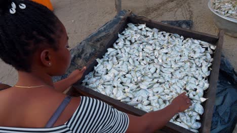 black african female woman organise dry fish in a fisherman village in remote africa lifestyle