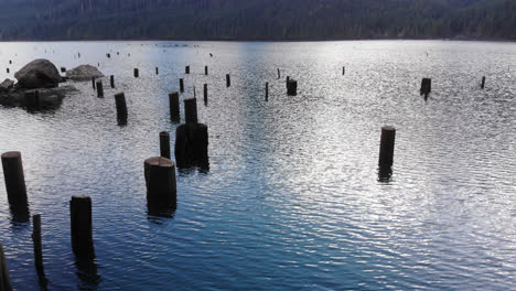 drone flying up over lake with tree stumps sticking out