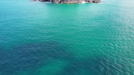 Bottlenose-Dolphin-Diving-by-Norries-Headland-in-Cabarita-Beach,-Tweed-Shire,-Bogangar,-Northern-Rivers,-New-South-Wales,-Australia-Aerial-Shot