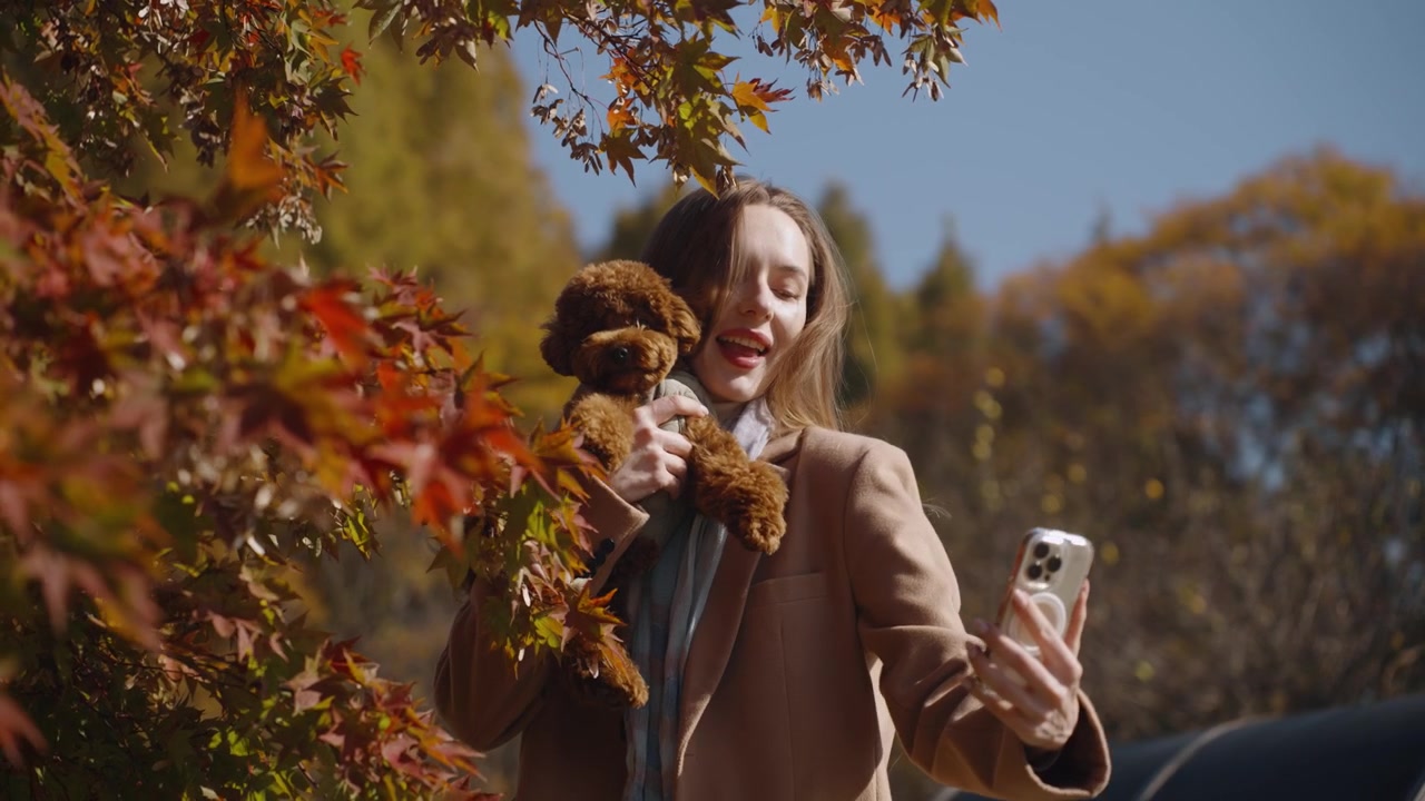 Donna che abbraccia un cagnolino in posa mentre scatta un selfie con un telefono moderno, con rami di alberi autunnali vivaci sullo sfondo - rallentatore