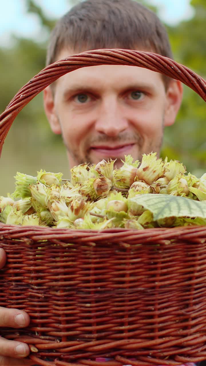 행복 한 사람 농학자 는 정원 에서 손 에 완전 한 견과류 바구니 를 들고 있는 원시 헤이즐 ⁇  의 좋은 수확 을 보여준다