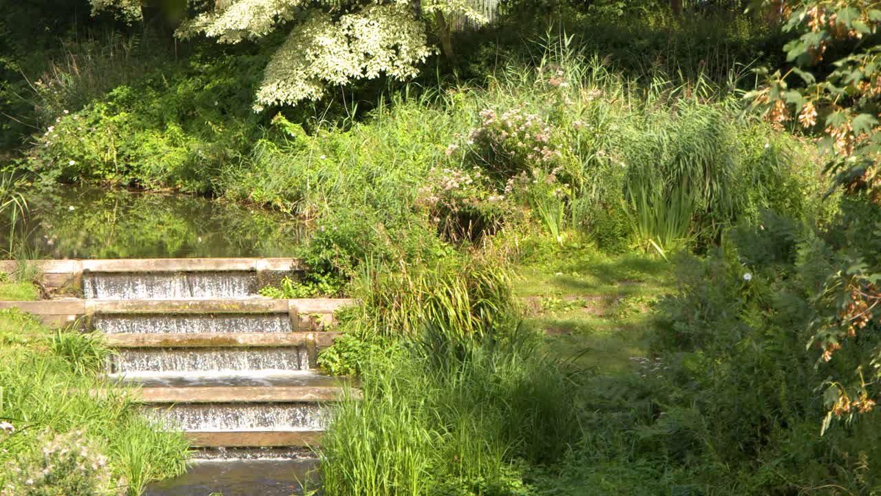 日光が差し込む森林公園で、段々になったダムから水が流れ落ちる様子。固定カメラ、鮮やかな緑。
