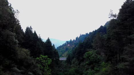 dehradun masuri drone passing through the trees and reviling the city