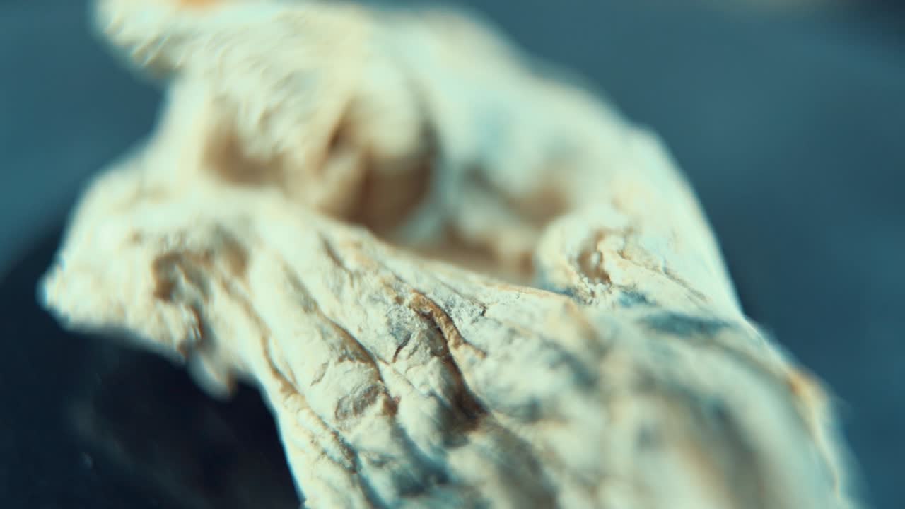 un macro de primer plano detallado giratorio de un psiloactivo mágico psilocibina alucinación hongo seco, iluminación de estudio, cámara lenta 120 fps, full hd