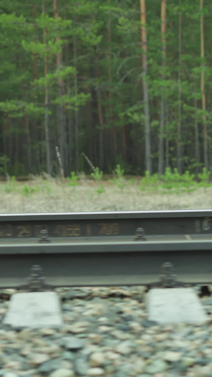철도 트랙에서 지나가는 열차의 근접한 시각, 모션 블러는 열차의 속도를 포착하고, 배경은 숲이 많은 지역을 보여줍니다.