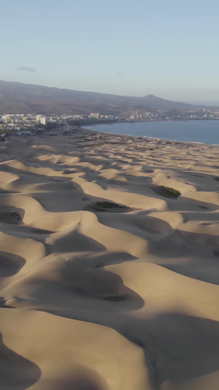 Vast sculpted sands of Dunas de Maspalomas in southern Gran Canaria. Vertical aerial