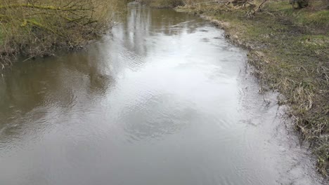 Río-En-El-Desierto-Del-Bosque-De-Thetford-En-Inglaterra,-Reino-Unido.