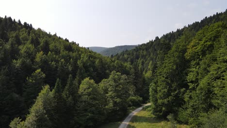 Aerial-drone-shot-rising-up-vertically-from-a-forest-trail---Drone-Shot